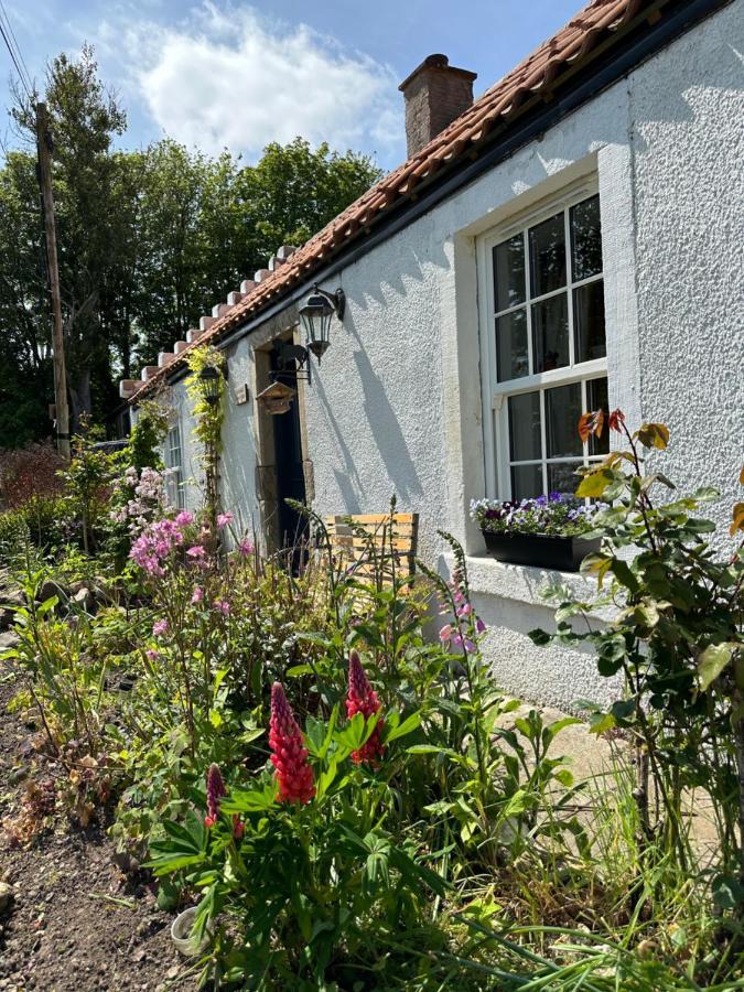 Borthwick Farm Cottage Annex Gorebridge Exteriör bild